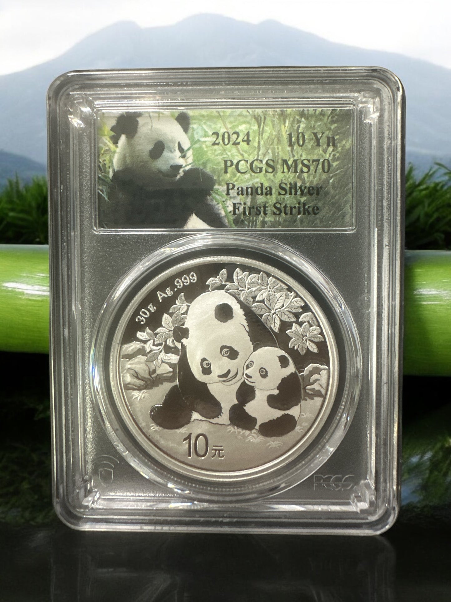 2024 10Yn Silver Panda PCGS MS70 - First Strike